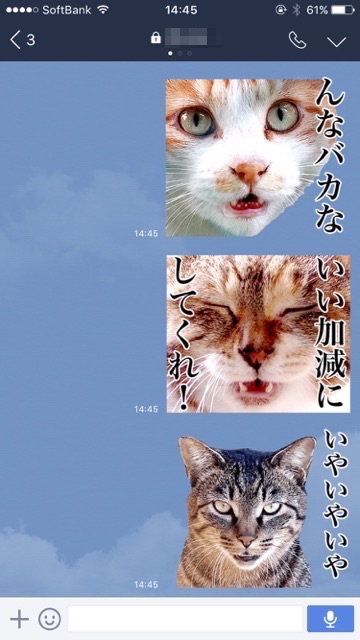 lineラインLINEスタンプ写真を使ったおすすめ猫