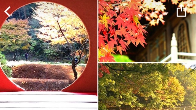【おすすめ】今が見頃の紅葉スポットはここ！