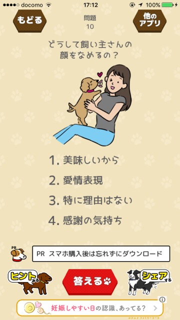 dog - 4
