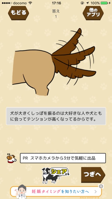 dog - 8