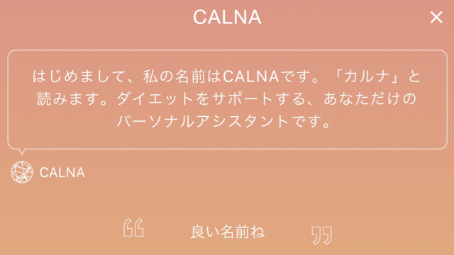 質問に答えるだけで“最適な痩せ方”がわかるAIダイエットアプリ【#糖質制限 Vol.32】
