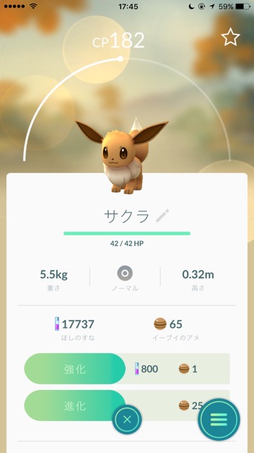 ポケモンGO（ポケモンゴー・ポケモンgo） pokemon go ポケモンgo 新ポケモン ポケモンgo ポケモンgo金銀 第二世代 アップデート イーブイ進化 エーフィ（えーふぃ） ブラッキー（ぶらっきー） イーブイをエーフィ・ブラッキーに進化させる方法