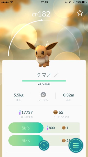 ポケモンGO（ポケモンゴー・ポケモンgo） pokemon go ポケモンgo 新ポケモン ポケモンgo ポケモンgo金銀 第二世代 アップデート イーブイ進化 エーフィ（えーふぃ） ブラッキー（ぶらっきー） イーブイをエーフィ・ブラッキーに進化させる方法