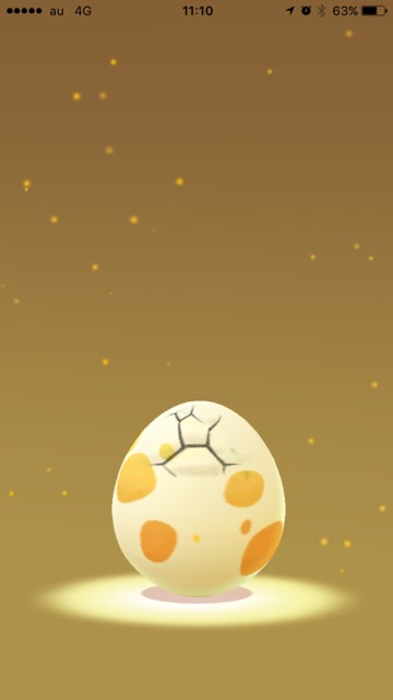 【ポケモンGO（Pokémon GO）】ピチューやトゲピーを求めてタマゴ44個孵化させてみた