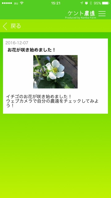 いちごの成長が素晴らしい! スマホでできる農園体験で感動!