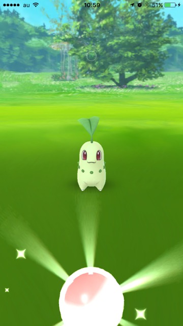 ポケモンgo チコリータ ヒノアラシ ワニノコの入手方法 随時更新 Appbank ポケモンgo チコリータ ヒノアラシ ワニノコの入手方法 随時更新 Appbank