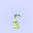pokemongo152tikori-ta