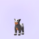 pokemongo228derubiru