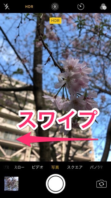iPhoneの標準カメラで桜を綺麗に撮るコツ。お花見で桜の写真を綺麗に撮る方法。