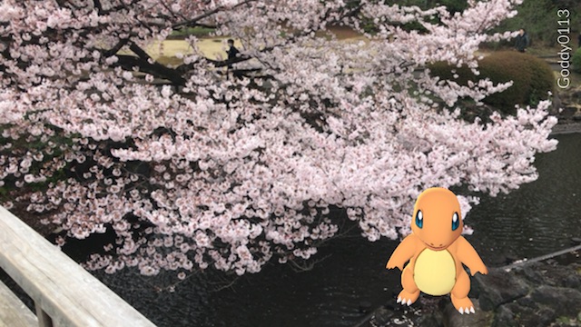【ポケモンGO】お花見&ポケモンGOは新宿御苑が最強だった