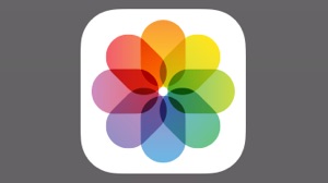 iPhoneから消した写真・動画を復元する方法