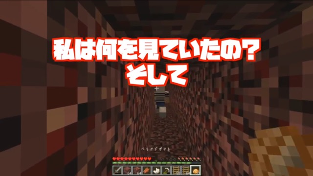 マイクラ マインクラフト むらクラ ハシゴの降り方 登り方- 1