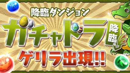 ガチャドラ降臨が毎日ゲリラ出現