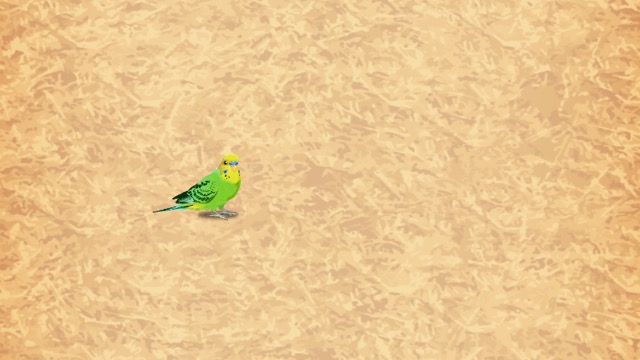 【オウム・インコの日】鳥好き必見! インコをゆるく育てるアプリが癒し- 3