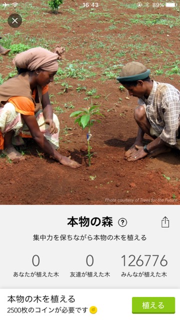 【環境の日】スマホを触らない間だけ木を育てられる癒し系アプリ「forest」- 14