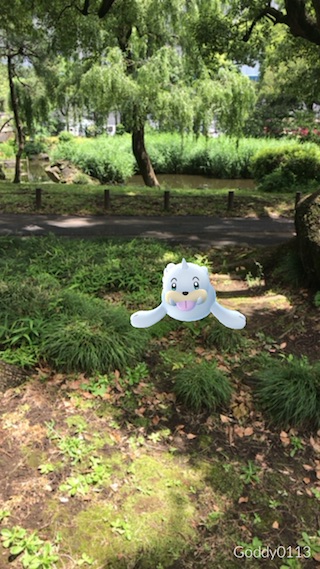 pokemongo22su - 5