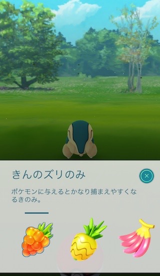pokemongoraids - 11