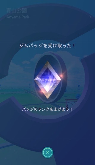 pokemongoraids - 5