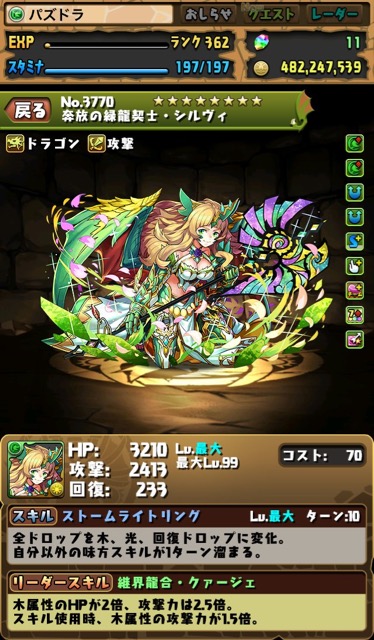 奔放の緑龍契士・シルヴィ