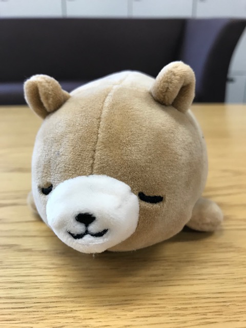 【ダイソー】100円のスマホ用「魚眼レンズ」が楽しすぎ! 写真がたちまち上級者に