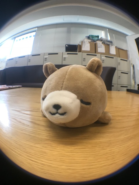 【ダイソー】100円のスマホ用「魚眼レンズ」が楽しすぎ! 写真がたちまち上級者に