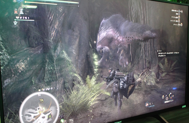 TGS2017MHW0921 - 10