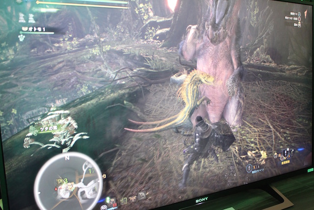 TGS2017MHW0921 - 11