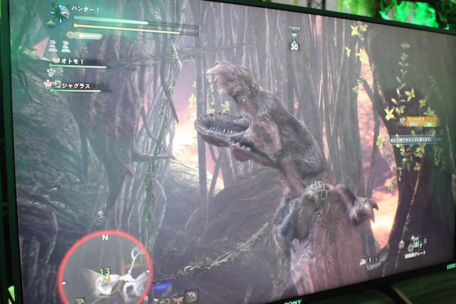 TGS2017MHW0921 - 12