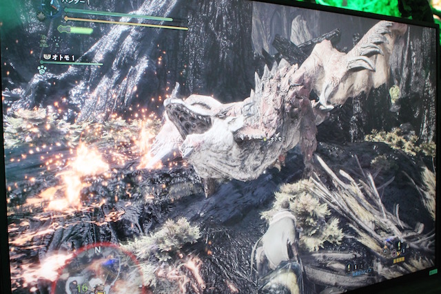 TGS2017MHW0921 - 17