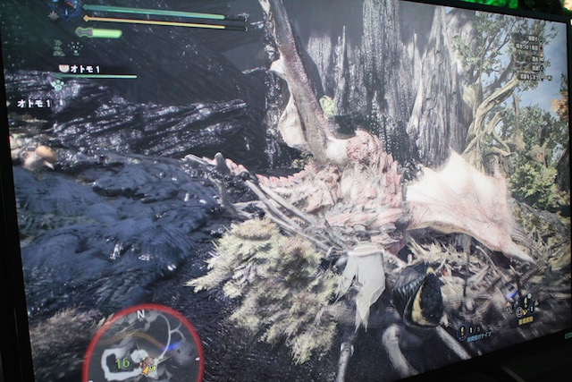 TGS2017MHW0921 - 18