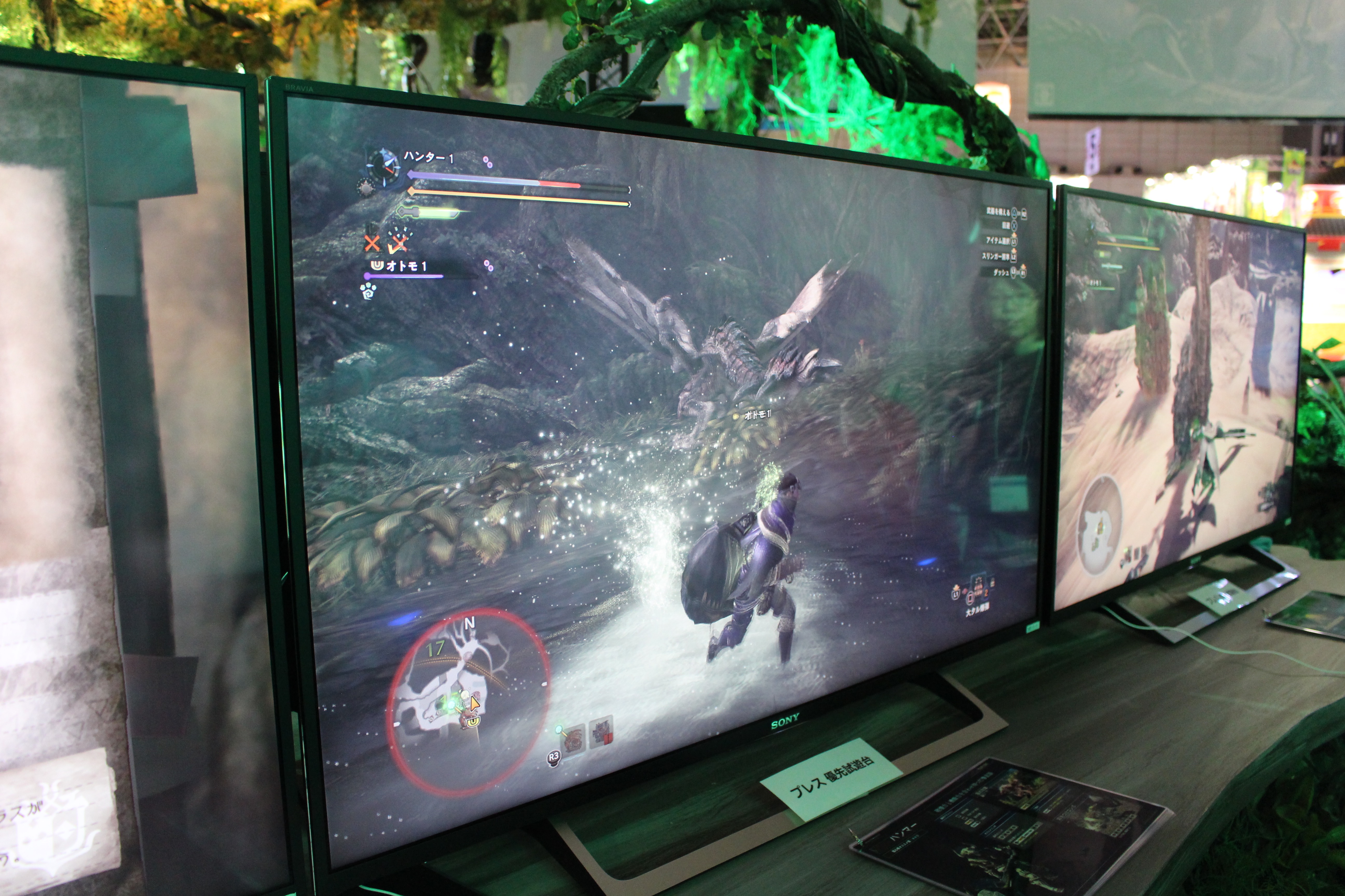 TGS2017MHW0921 - 19