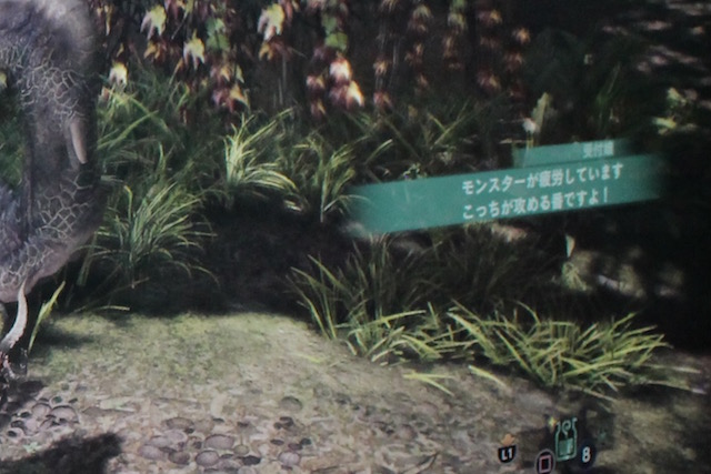 TGS2017MHW0921 - 8