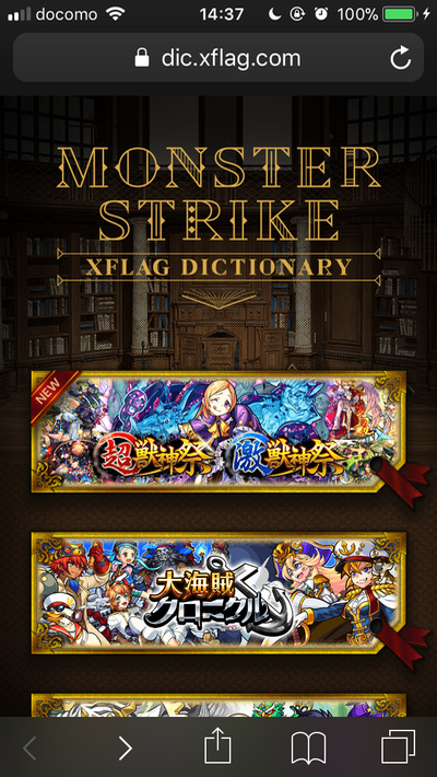 XFLAG DICTIONARY