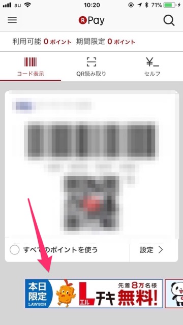 rakutenpay29 - 4