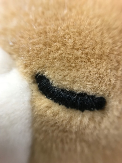 キャンドゥの100円スマホ用「広角&マクロレンズ」で面白写真がたくさん撮れるぞ!!