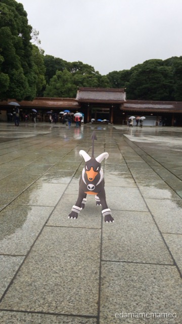 pokemongo1021 - 10