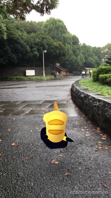 pokemongo1021 - 12