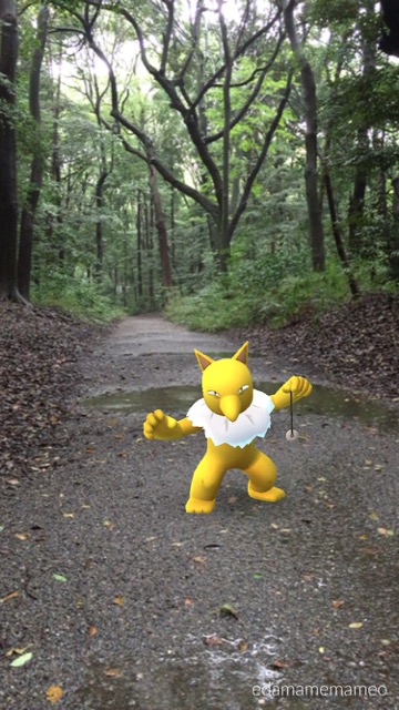 pokemongo1021 - 14