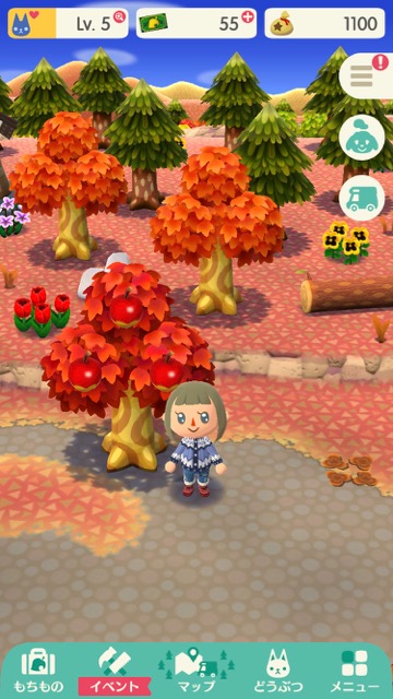 【ポケ森】「ワサワサの森」でとれるもの・できることまとめ