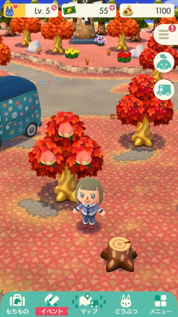 【ポケ森】「ワサワサの森」でとれるもの・できることまとめ