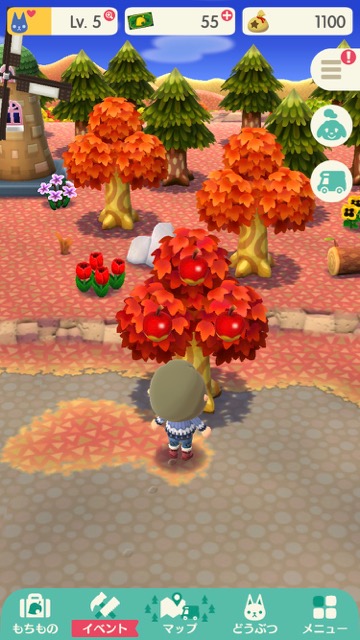 【ポケ森】「ワサワサの森」でとれるもの・できることまとめ