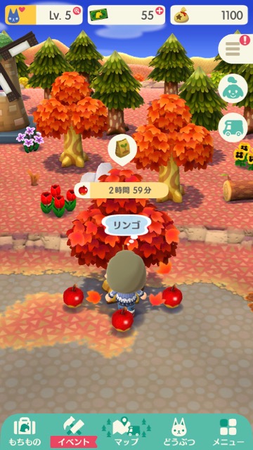 【ポケ森】「ワサワサの森」でとれるもの・できることまとめ