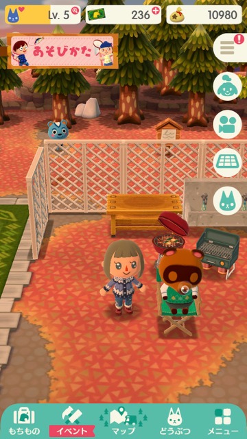 【ポケ森攻略】「たぬきちのイス」を注文すると何が起きる? 実際に買ってみた!