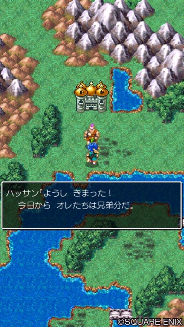 dq6 - 3