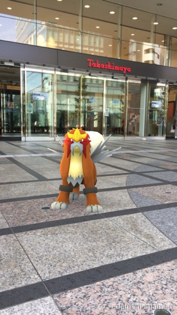 pokemongo1101 - 11