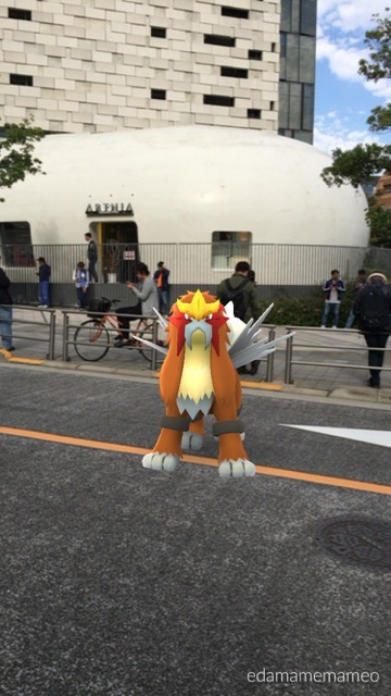 pokemongo1101 - 14