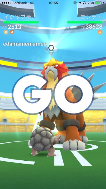 pokemongo1101 - 2