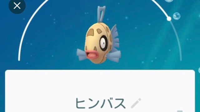 ポケモンgo ヒンバスをミロカロスに進化させる方法 Appbank