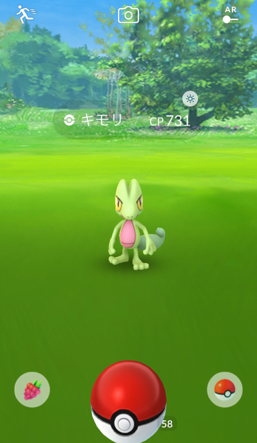 ポケモンGO（ポケモンゴー・ポケモンgo） pokemon go ポケモンgo新ポケモン ポケモンgo第三世代 ポケモンgoルビーサファイア ポケモンgoルビサファ ポケモンGOアップデート情報 ポケモンGOキモリ ポケモンGOアチャモ ポケモンGOミズゴロウ【ポケモンGO】キモリ・アチャモ・ミズゴロウの入手方法