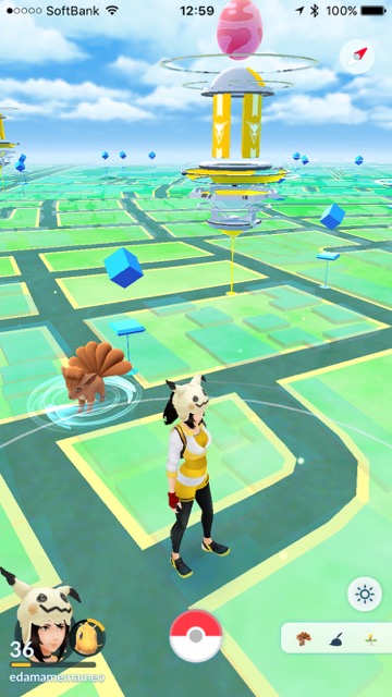 ポケモンGO(ポケモンゴー・ポケモンgo) pokemon go ポケモンgo新ポケモン ポケモンgo第三世代 ポケモンgoルビーサファイア ポケモンgoルビサファ 【ポケモンGO】第三世代の出現率はどのくらいなのか? 250体程捕まえて調査してみた!